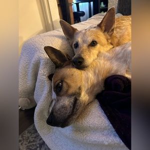 My Boys ❤️